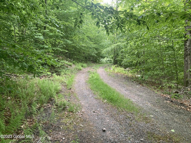 189 Covenant Cir, New Lebanon, NY 12062 - photo 2