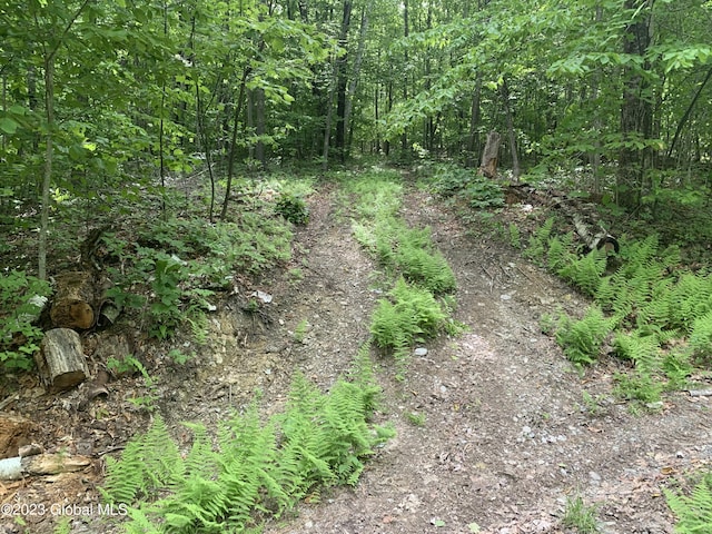 189 Covenant Cir, New Lebanon, NY 12062 - photo 3