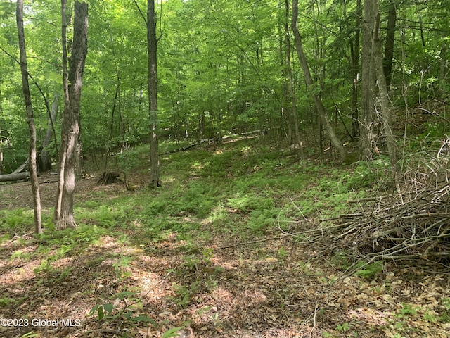 189 Covenant Cir, New Lebanon, NY 12062 - photo 6