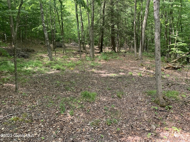 189 Covenant Cir, New Lebanon, NY 12062 - photo 8