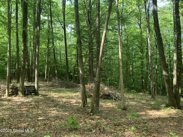 189 Covenant Cir, New Lebanon, NY 12062 - photo 9