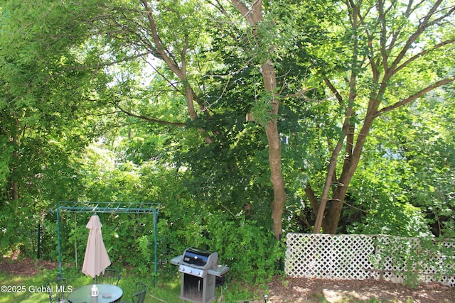 39 William St, Mechanicville, NY 12118 - photo 14