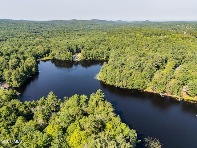 45 Simons Rd, Grafton, NY 12052 - photo 43