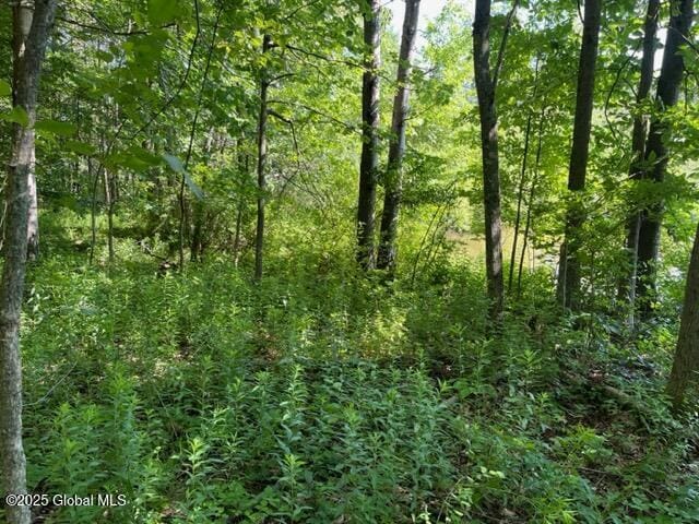 L9 State Route 162, Esperance, NY 12066