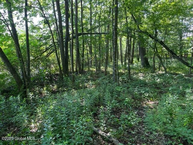 L9 State Route 162, Esperance, NY 12066