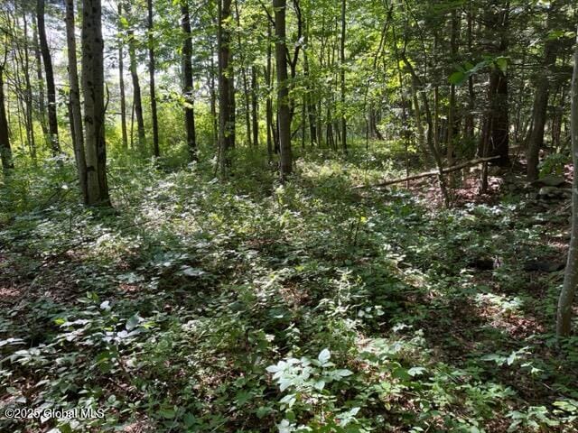 L9 State Route 162, Esperance, NY 12066
