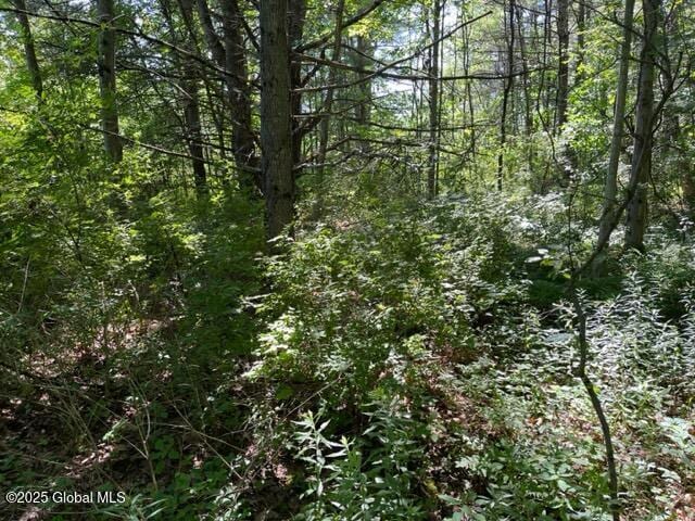 L9 State Route 162, Esperance, NY 12066
