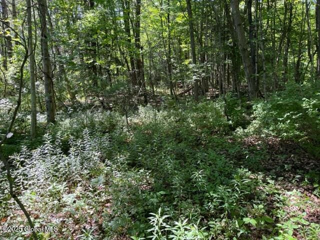 L9 State Route 162, Esperance, NY 12066
