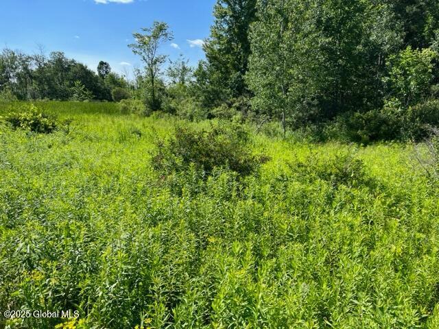 L9 State Route 162, Esperance, NY 12066