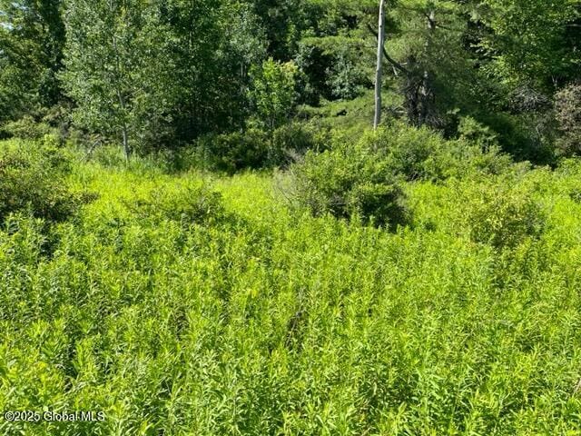 L9 State Route 162, Esperance, NY 12066