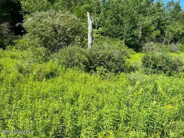 L9 State Route 162, Esperance, NY 12066