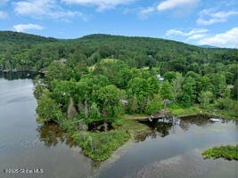 39 Knox Rd, Schroon Lake, NY 12870 - photo 3