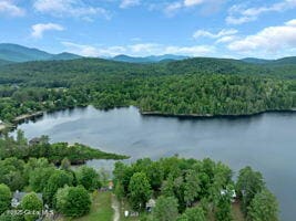39 Knox Rd, Schroon Lake, NY 12870 - photo 28