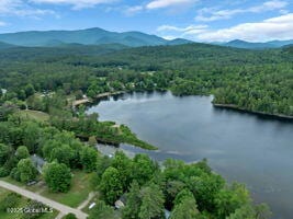 39 Knox Rd, Schroon Lake, NY 12870 - photo 29