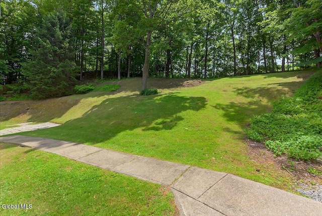 37 Highland Ter, Gloversville, NY 12078 - photo 5