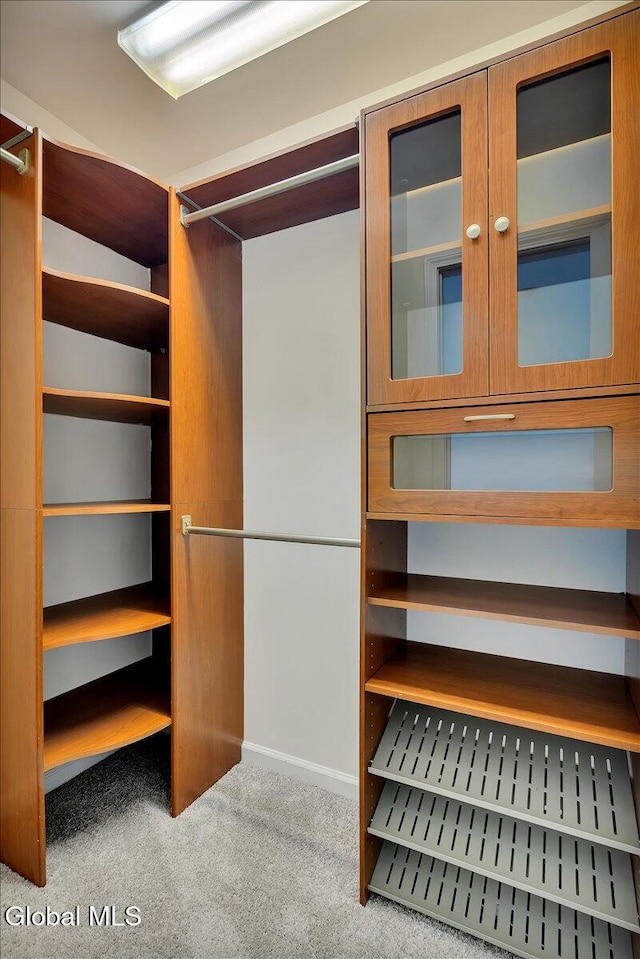 3 Lucille Ln, Malta, NY 12019 - walk in closet with carpet floors