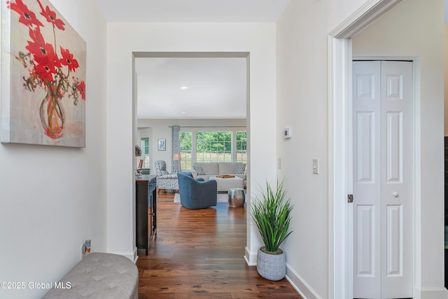 55 Winterberry Ln, Moreau, NY 12828 - corridor featuring dark wood finished floors
