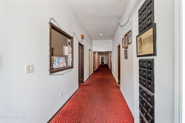 171 Hill St, Troy, NY 12180 - photo 9