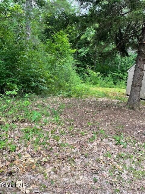 129 Moan And Groan Rd, Hope, NY 12134 - view of woods