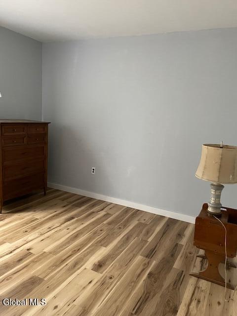129 Moan And Groan Rd, Hope, NY 12134 - unfurnished room with light wood finished floors and baseboards