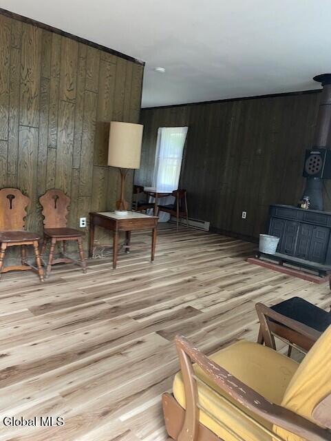 129 Moan And Groan Rd, Hope, NY 12134 - living room featuring wood walls, wood finished floors, and a wood stove