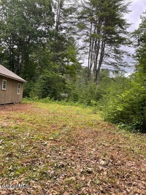 129 Moan And Groan Rd, Hope, NY 12134 - view of yard