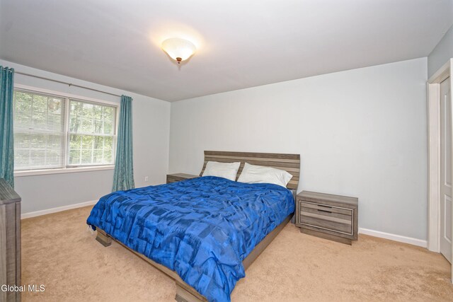 8 Dorchester St, Clifton Park, NY 12065 - photo 38