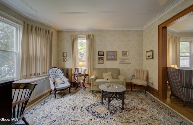 202 W 1st Ave, Johnstown, NY 12095 - living area featuring ornamental molding, radiator, and parquet floors