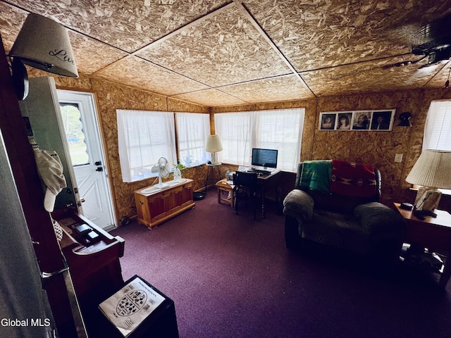 783 Woodstock Rd Lot 35, Berne, NY 12059 - office space featuring plenty of natural light
