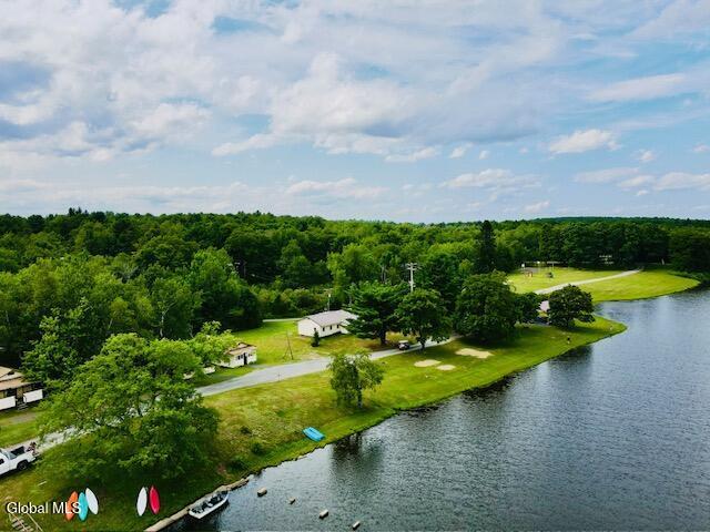 783 Woodstock Rd Lot 35, Berne, NY 12059 - drone / aerial view of a nearby body of water and a forest