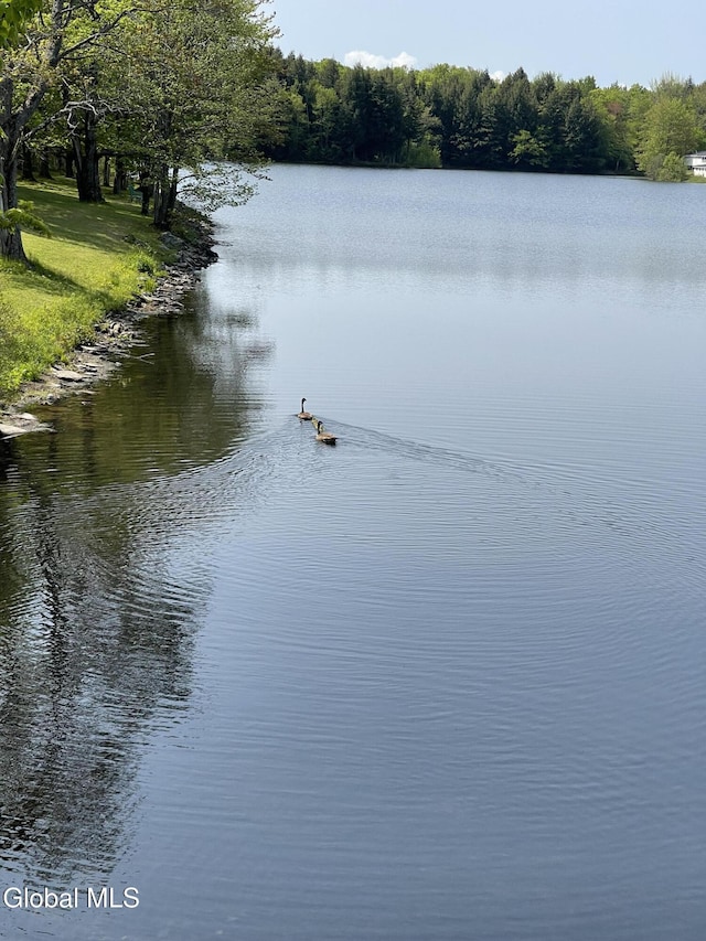 783 Woodstock Rd Lot 35, Berne, NY 12059 - water view