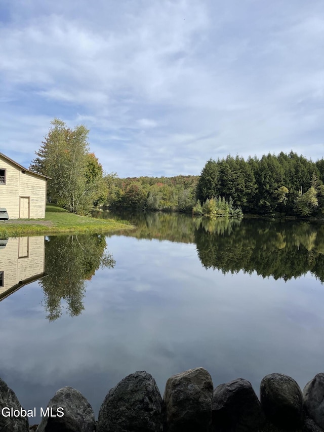 783 Woodstock Rd Lot 35, Berne, NY 12059 - water view with a heavily wooded area