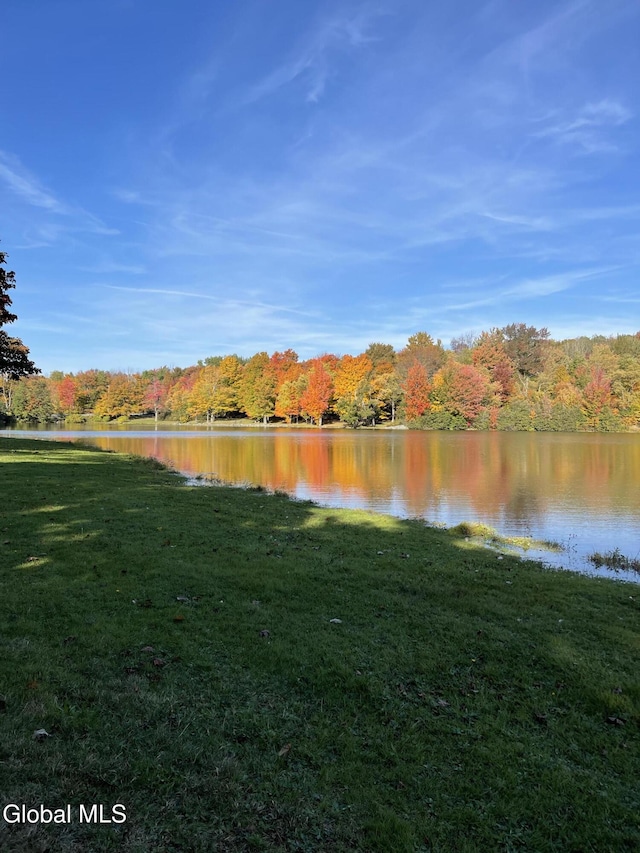 783 Woodstock Rd Lot 35, Berne, NY 12059 - water view with a forest