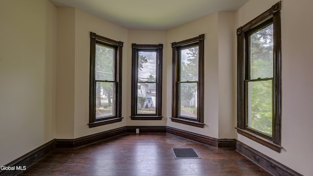 200 Fon Clair St, Johnstown, NY 12095 - spare room with dark wood-style flooring and healthy amount of natural light