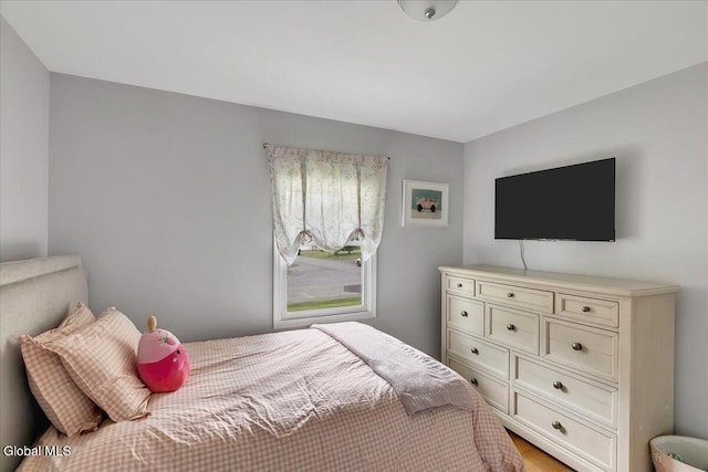 33 Comely Ln, Colonie, NY 12110 - bedroom with light wood-type flooring