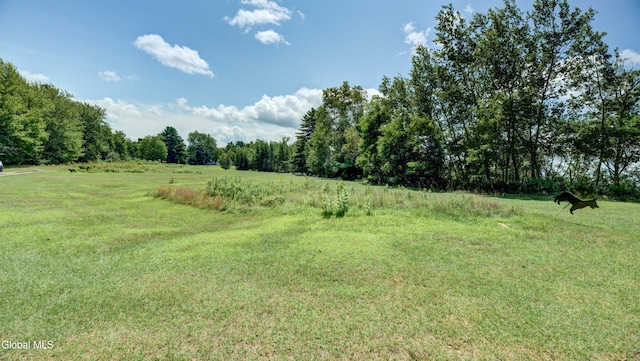 109 Ridgewood Ave, Broadalbin, NY 12025 - photo 42