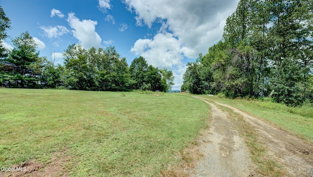 109 Ridgewood Ave, Broadalbin, NY 12025 - photo 44
