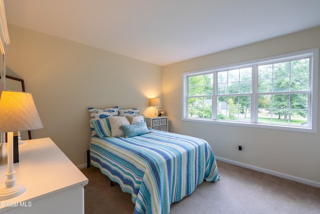 5 Hollow Creek Ct, Ballston Spa, NY 12020 - photo 24