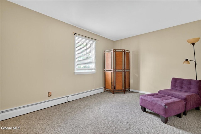 107 Euclid Ave, Altamont, NY 12009 - photo 27