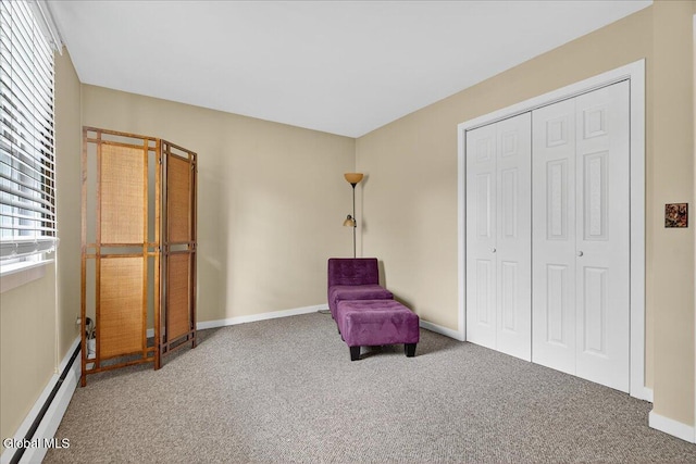 107 Euclid Ave, Altamont, NY 12009 - photo 28