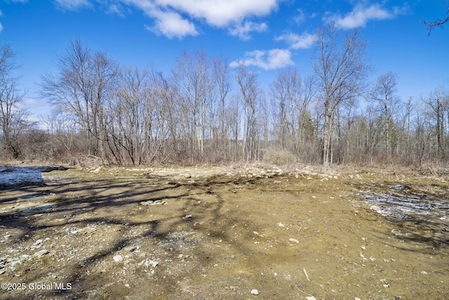 5 White Rd, Milton, NY 12020 - photo 24