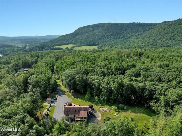 35 Indian Ladder Dr, Guilderland, NY 12009 - photo 80