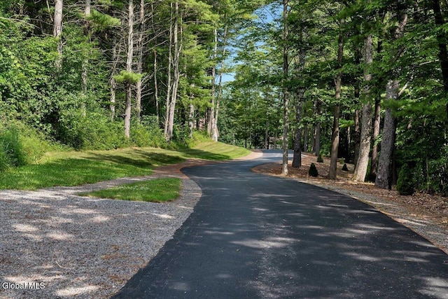 35 Indian Ladder Dr, Guilderland, NY 12009 - photo 70