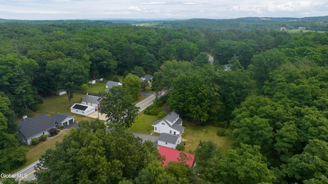 98 Meadowbrook Rd, Saratoga Springs, NY 12866 - bird's eye view of a forest