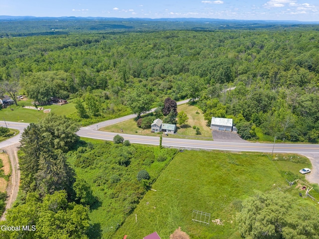 5530 State Highway 30a, Charleston, NY 12066 - drone / aerial view of a forest