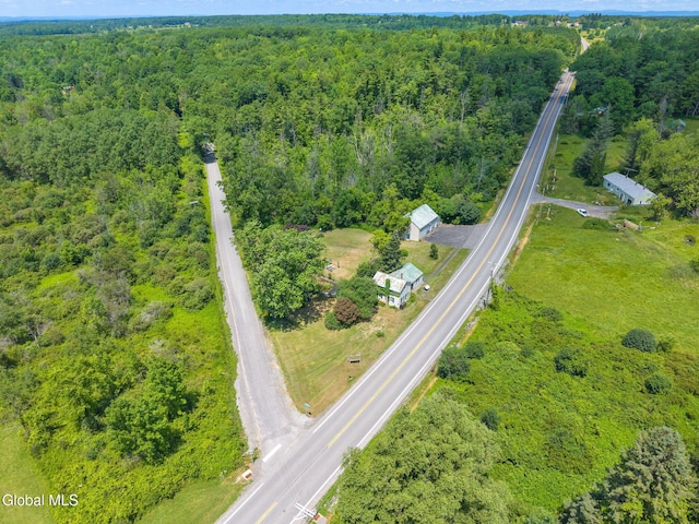 5530 State Highway 30a, Charleston, NY 12066 - aerial view of property and surrounding area featuring a forest
