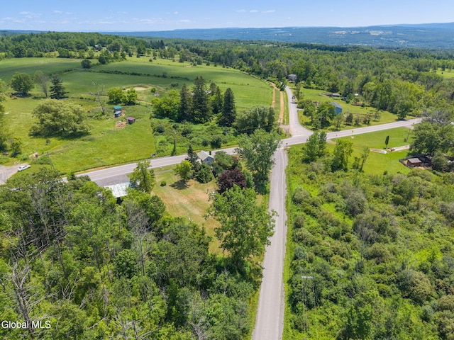 5530 State Highway 30a, Charleston, NY 12066 - drone / aerial view of a forest