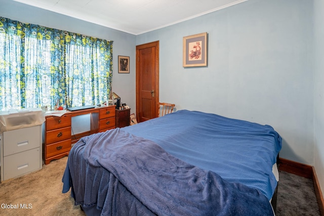 1659 State Route 7, Cobleskill, NY 12043 - bedroom featuring crown molding and light carpet