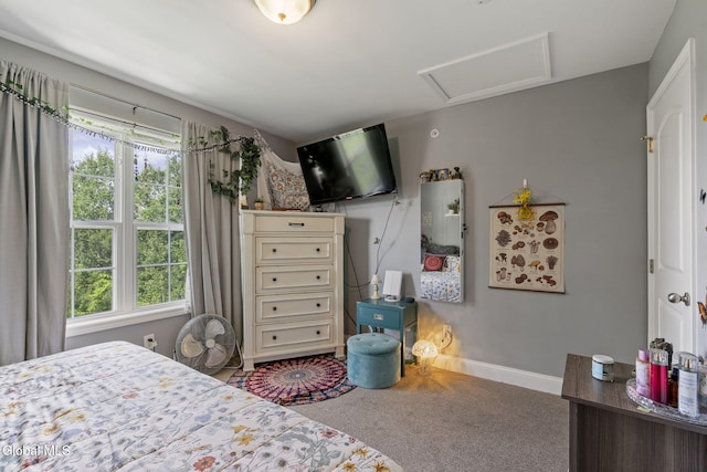 11 Kasey Pass, Ballston, NY 12020 - photo 15