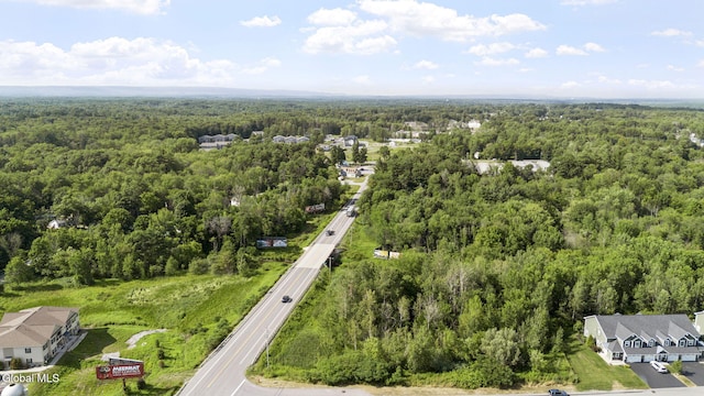 11 Kasey Pass, Ballston, NY 12020 - photo 25